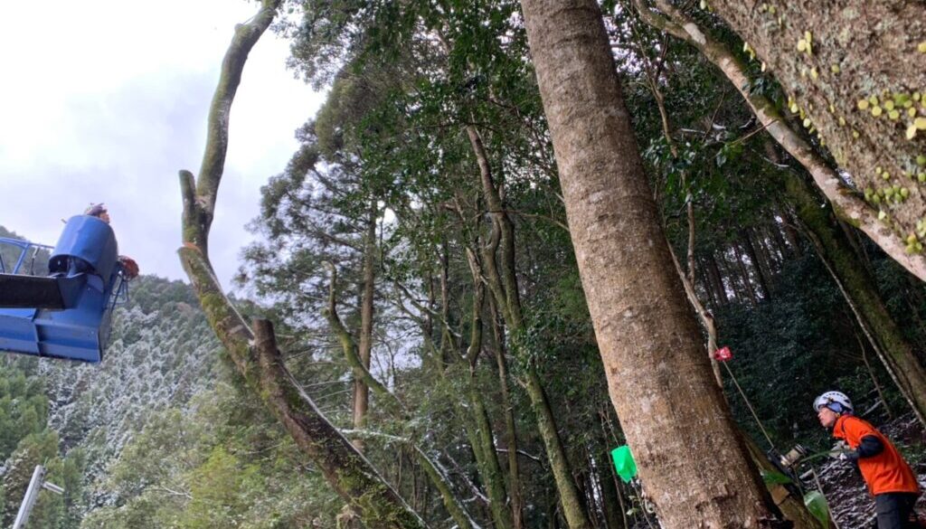 十津川邸　相良村_200219_0021